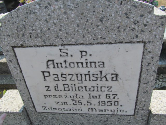 Antonina Paszyńska Biechowo - Grobonet - Wyszukiwarka osób pochowanych